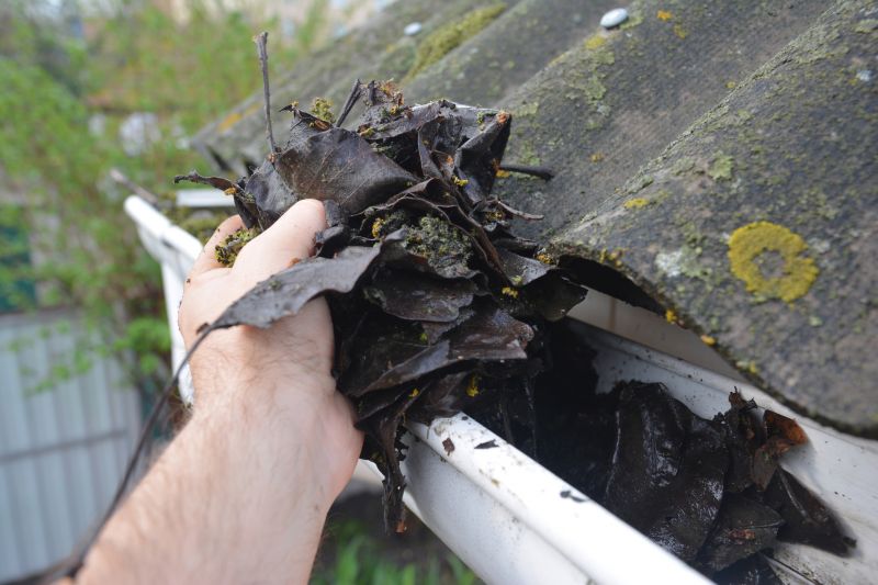 Downspout Cleaning in Westchester County, NY